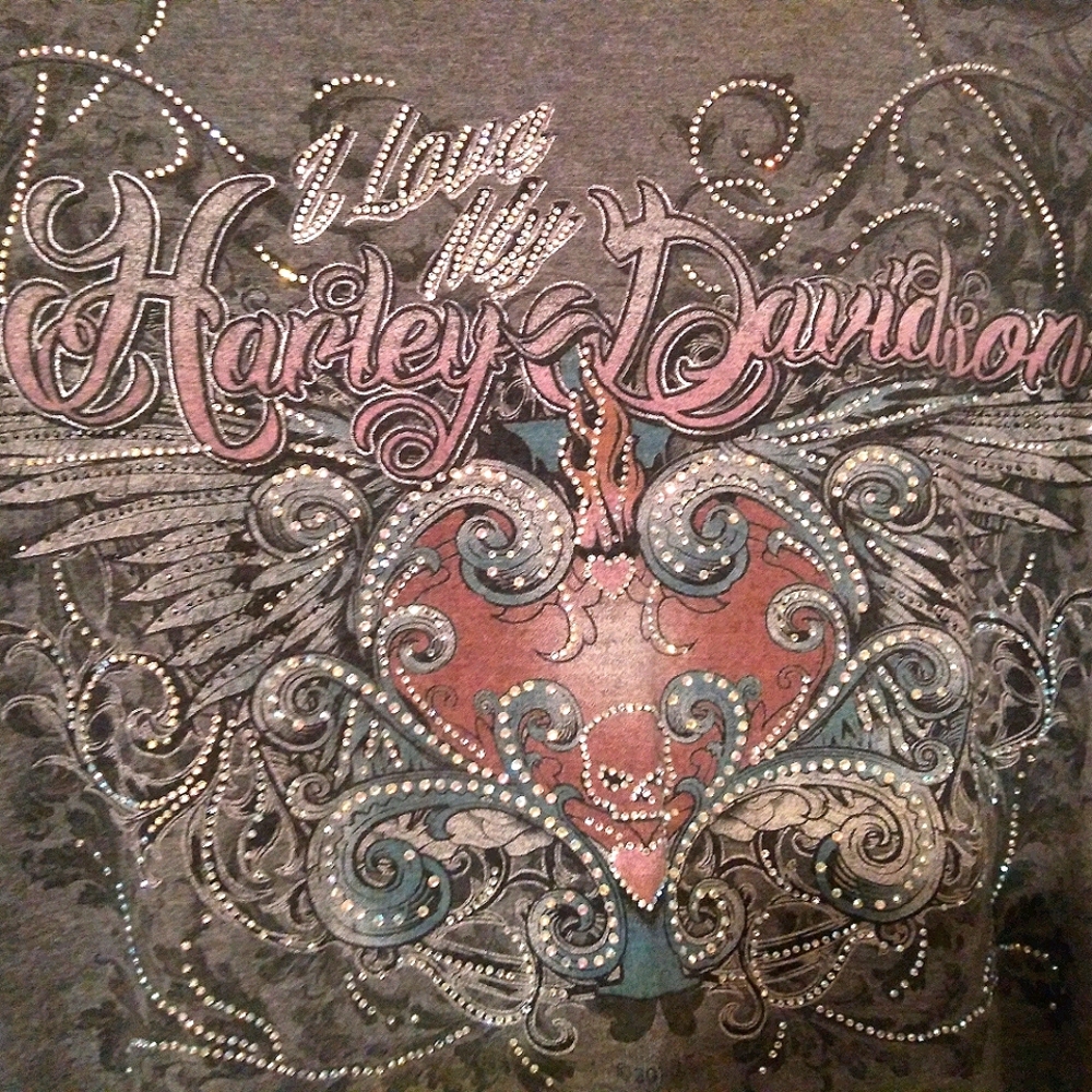 HARLEY-DAVIDSON Sparkling Lace Long Sleeve Top EUC